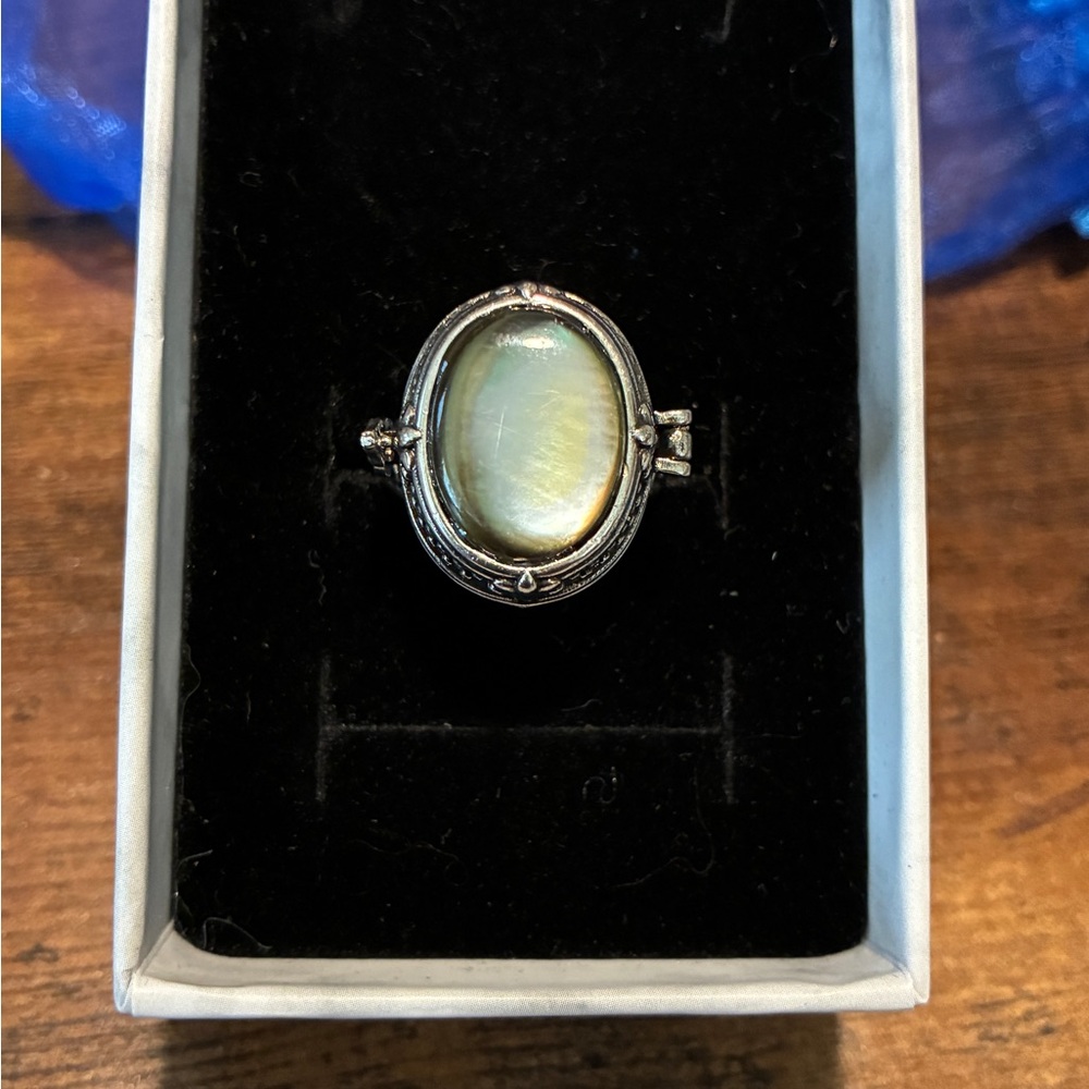 Silver-Obsidian Locket/Poison Adjustable Ring